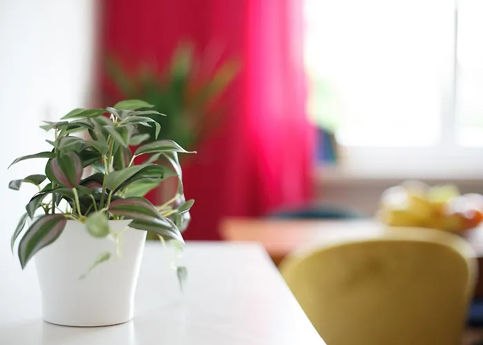 Old Town - Swietojanska شقة *