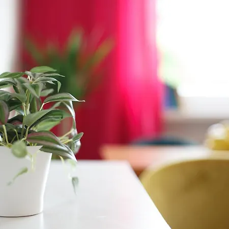 Old Town - Swietojanska Apartamento *